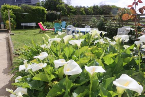 a garden with white flowers in a yard at Maison de vacances avec jardin clos à 300m de la mer in Pouldreuzic