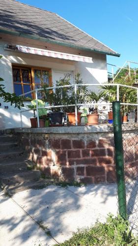 ein Haus mit Topfpflanzen davor in der Unterkunft Bicik-Lak in Balatonfůzfő