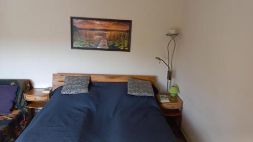 Schlafzimmer mit einem Bett mit blauer Decke in der Unterkunft Bicik-Lak in Balatonfůzfő