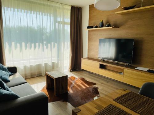 Televízia a/alebo spoločenská miestnosť v ubytovaní Šumavský apartmán - Nový komfortní a prostorný, se zahradou