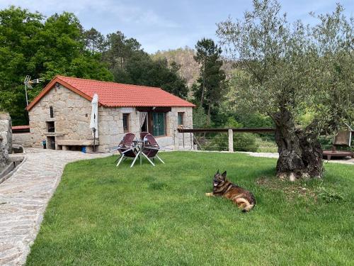 Gallery image of Da man da Moura in Ourense