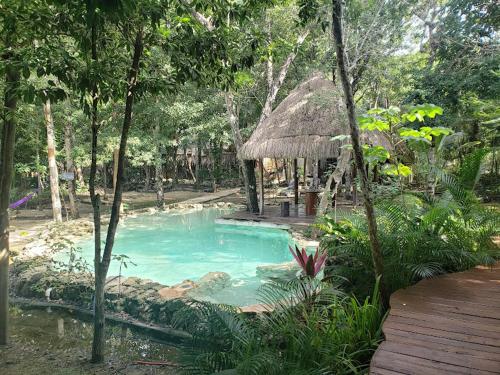 Jungle Chic Villa in Chemuyil tesisinde veya buraya yakın yüzme havuzu