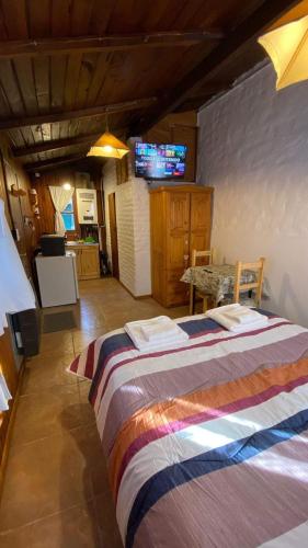 Schlafzimmer mit einem Bett und einem TV an der Wand in der Unterkunft MONOAMBIENTE Pasaje de la Paz in San Martín de los Andes