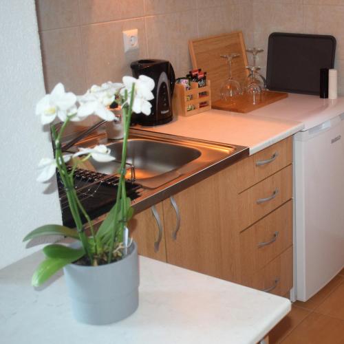 a kitchen with a sink and a vase with white flowers at Vikendica Farah 
