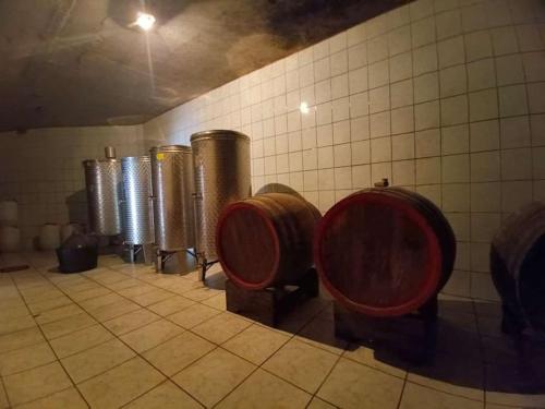 Galeriebild der Unterkunft Apartman u potkrovlju in Sremski Karlovci
