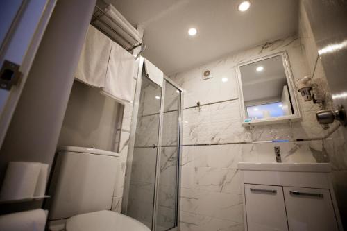 a bathroom with a shower and a toilet and a sink at Albatros Hagia Sophia Hotel in Istanbul
