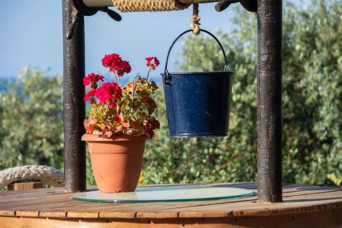 a pot of flowers and a bucket on a table at Momentum Θ in Maleme