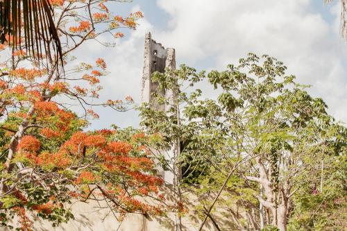 a tall building is seen through the trees at Hacienda Shambalante in Izamal
