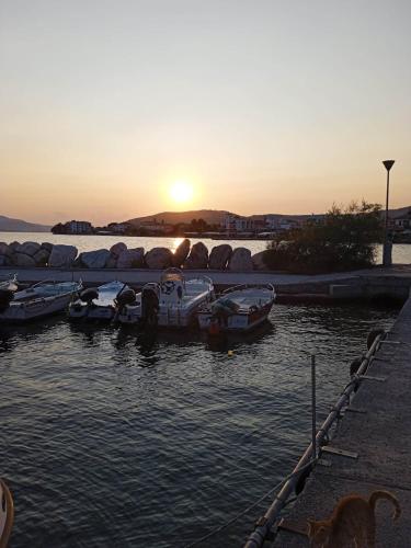 a group of boats in the water at sunset at Dream House in Agria