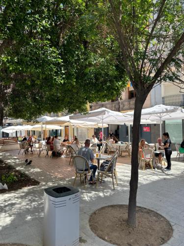 a group of people sitting in chairs under a tree at Centro Apartamentos in Alicante