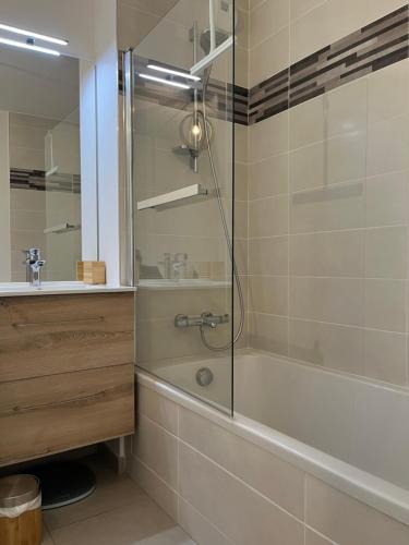 een badkamer met een douche en een wastafel bij ENTRE NOUS CITY in Annecy