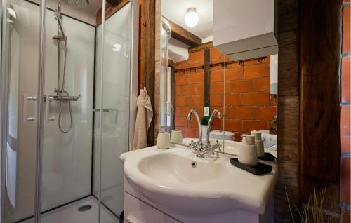 Popovača的住宿－Gorgeous Home In Popovaca With Wifi，一间带水槽和淋浴的浴室