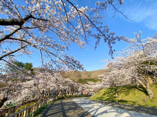 a road lined withakura trees with a fence at Tokyu Stay Hakodate Asaichi Akarinoyu in Hakodate