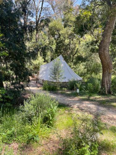 uma tenda branca no meio de uma floresta em Garden Beds Glamping em Blackwood