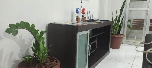 una cucina con bancone e piante in una stanza di Melhor da Praia do Morro Apartamento até 10 pessoas a Guarapari