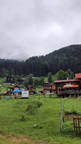 a group of buildings in a grassy field with trees at MEVA APART in Rize