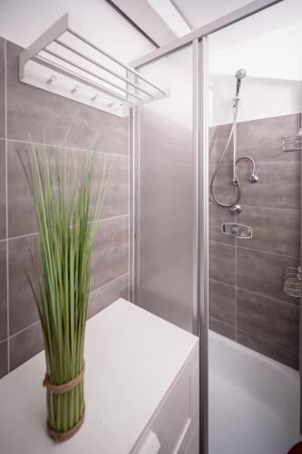 a bathroom with a shower with a plant on a counter at Wohnung Seeblick in Sattendorf