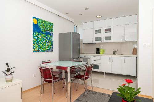 Kuchyň nebo kuchyňský kout v ubytování Luxury apartment Silvana in the city center
