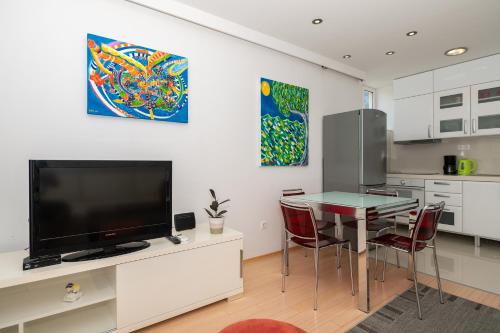 TV a/nebo společenská místnost v ubytování Luxury apartment Silvana in the city center