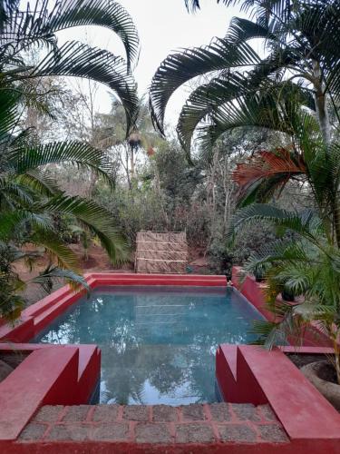 MolemにあるNature's Nest Eco Resort Goa, Near Dudhsagar Waterfallsのヤシの木が茂る庭園内のスイミングプール