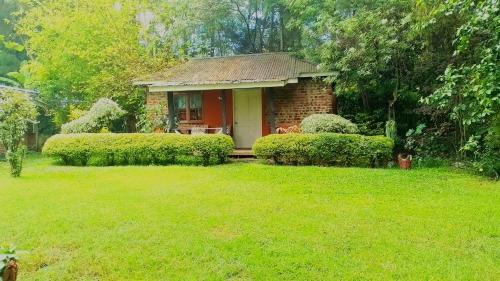 Steve's cottage-homely