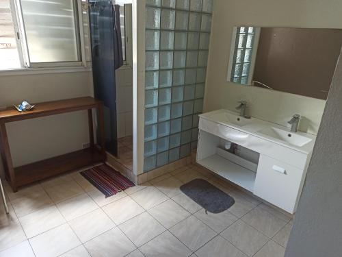 La salle de bains est pourvue d'un lavabo et d'un miroir. dans l'établissement LocaTriolet, à Saint-Denis