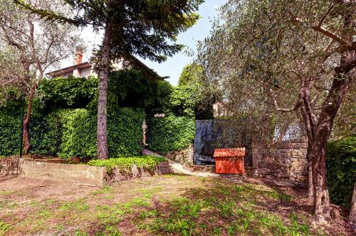 a yard with a tree and a house at B&B Il Pozzo in Sinalunga