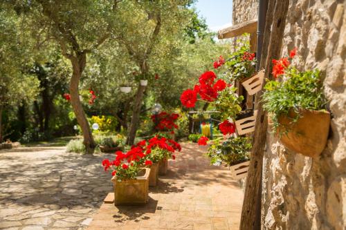 Κήπος έξω από το Casa tra le Querce