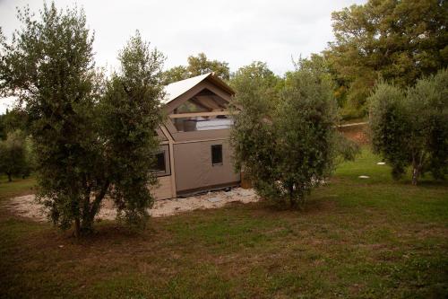 a small house in a field with two trees at Agriturismo Podere Prataccio in Scansano