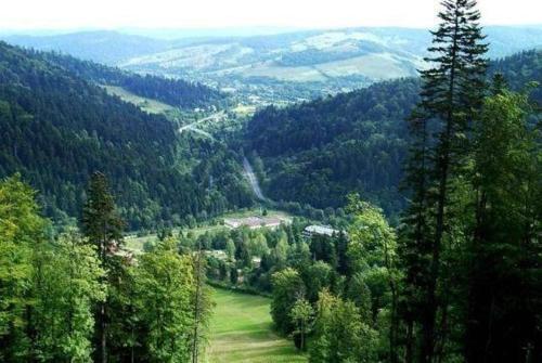 a view of a lush green valley with trees at Całoroczny Domek Dwukondygnacyjny in Baligród