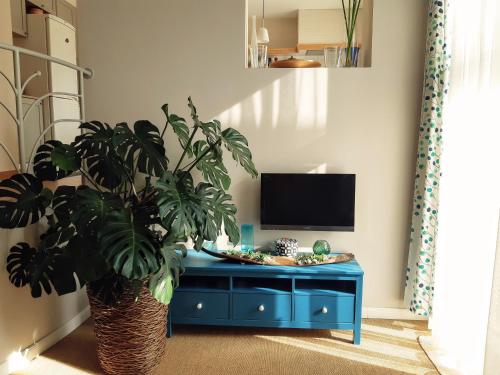 シオーフォクにあるRita apartmanのリビングルーム(青いキャビネット、植物付)