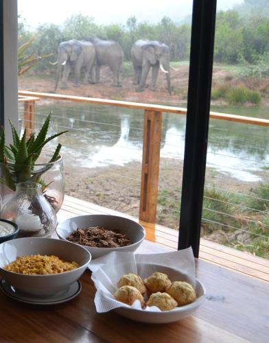 a table with two bowls of food and elephants in the background at Barefoot Addo Elephant Lodge in Addo