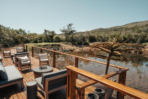a deck with chairs and a palm tree on a body of water at Barefoot Addo Elephant Lodge in Addo