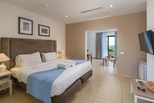 a bedroom with a large bed and a television at Hotel Ta' Cenc & Spa in Sannat