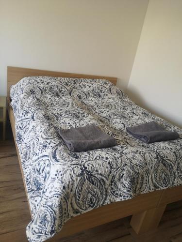Katil atau katil-katil dalam bilik di Apartamenty Elbląska 20A
