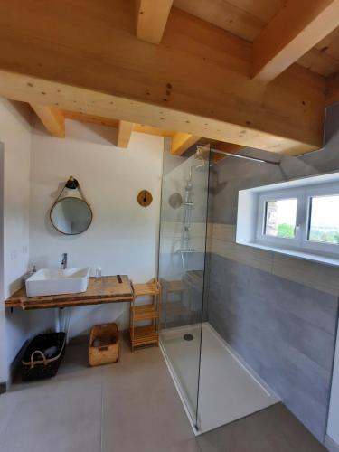 ein Bad mit einer Glasdusche und einem Waschbecken in der Unterkunft La Char'Vigne in Anglefort