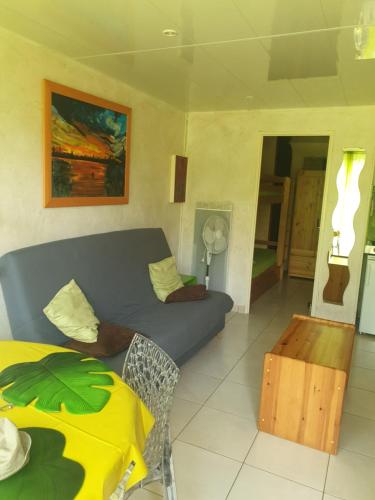 Studio cabine familial, rez de chaussée,piscine et parking privés