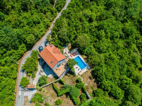 una vista aérea de una casa con una piscina en el bosque en Villa Toscana en Tivat