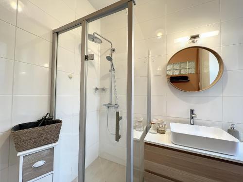 uma casa de banho com um chuveiro, um lavatório e um espelho. em Appart LE SCANDINAVE - Maison 1911 - confort & prestige em Gien