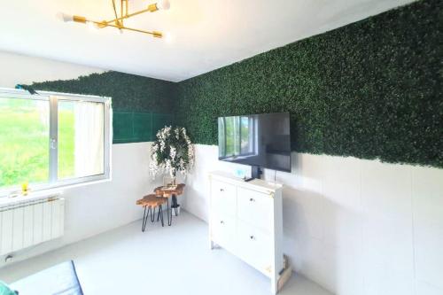 a living room with a green accent wall at The magic house - a unique stay in Avilés