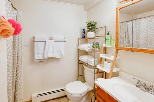a bathroom with a toilet and a sink and a mirror at Pet-Friendly Fairbanks Studio with Fenced-In Yard! in Fairbanks