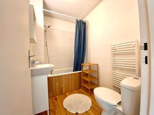 een kleine badkamer met een toilet en een wastafel bij T2 cosy proche hôpital + parking gratuit sur place in Auxerre