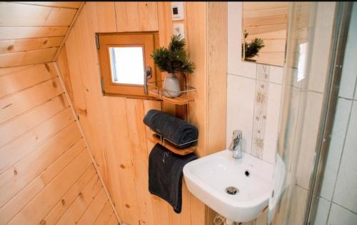 a bathroom with a sink and a mirror and a sink at Koča Velika Planina - Chalet Kamrica in Stahovica