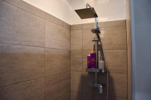 La salle de bains est pourvue d'une douche avec un pommeau de douche. dans l'établissement Apartma Darsi, à Ajdovščina