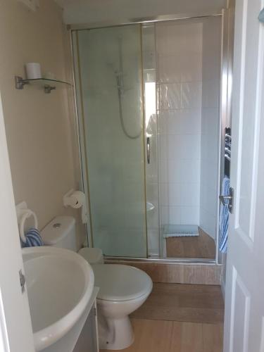 a bathroom with a shower and a toilet and a sink at 1 Taits Flat in Orkney