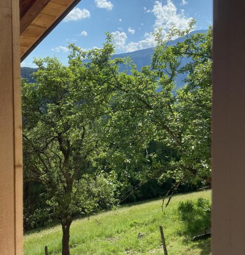 a window view of a tree in a field at Almhaus Vorleithen in Spital am Pyhrn