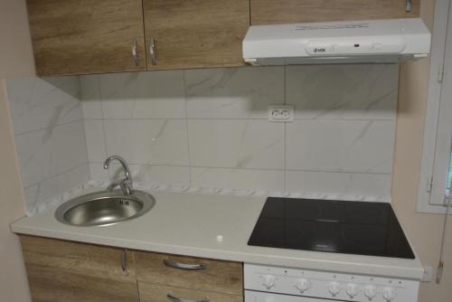 a small kitchen with a sink and a stove at Garden apartmani in Jagodina