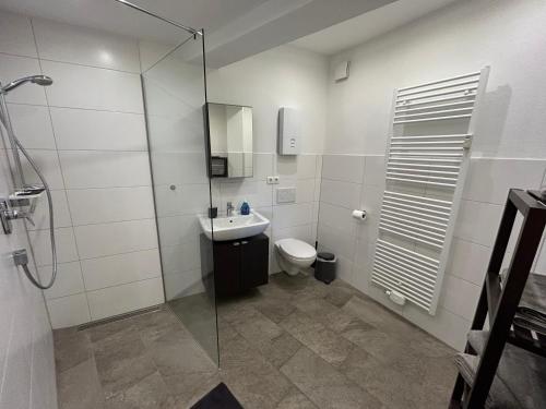 a bathroom with a shower and a toilet and a sink at Ferienwohnung Ahrblick in Schuld