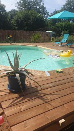 une plante en pot assise sur une terrasse à côté d'une piscine dans l'établissement caravane proche puy du fou, à Pouzauges