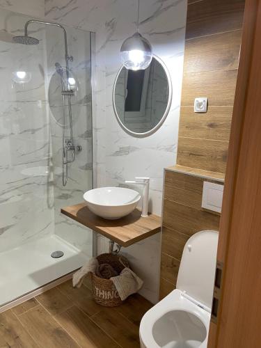 a bathroom with a sink and a shower and a toilet at Holiday home " MIA" in Gradina